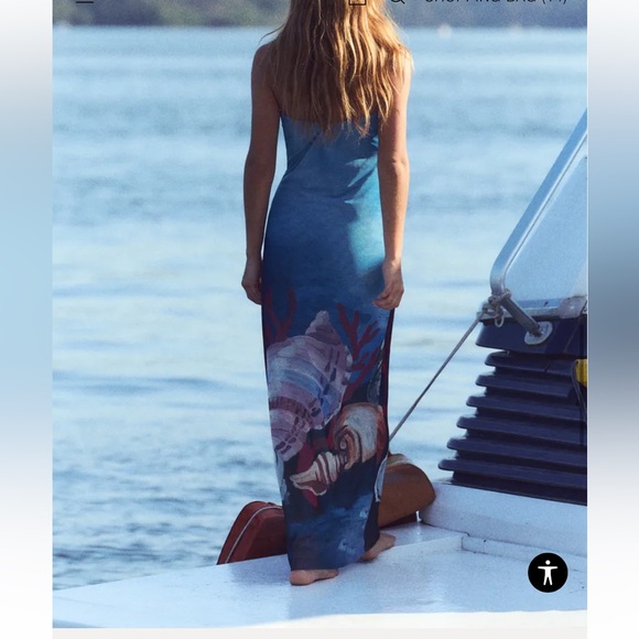 Zara Printed Tulle Dress - Picture 3 of 8